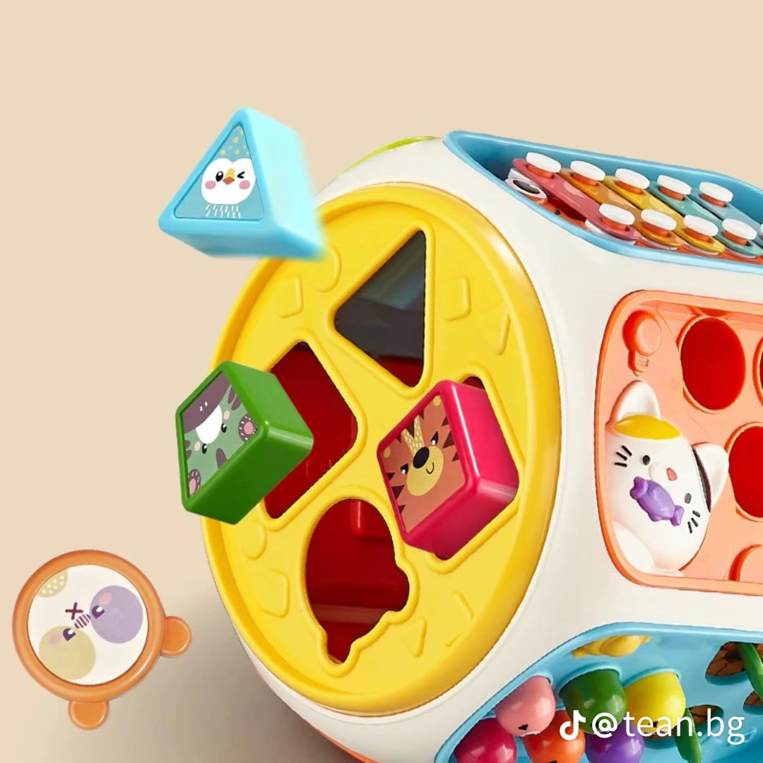 9 in 1 Activity Cube