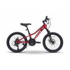 Crolan 20-Inch Bicycles