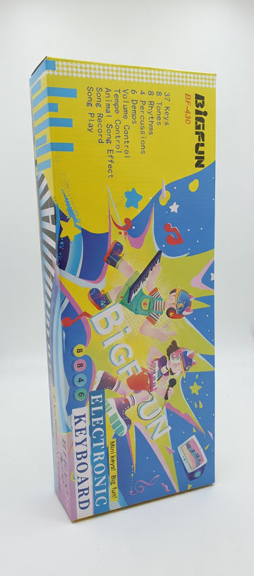 Bigfun electronic keyboard