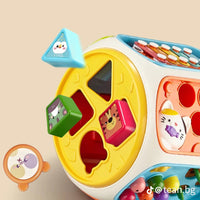 
              9 in 1 Activity Cube
            