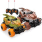 R/C Mini Car