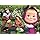 Eco puzzle masha and the bear.