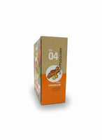 
              Building Block Dinosaur edition
            