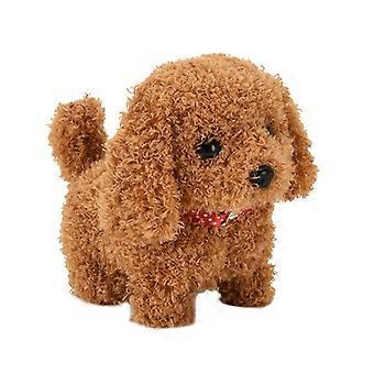 Lovely Dog Pet