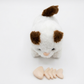 Lovely Cat Pet