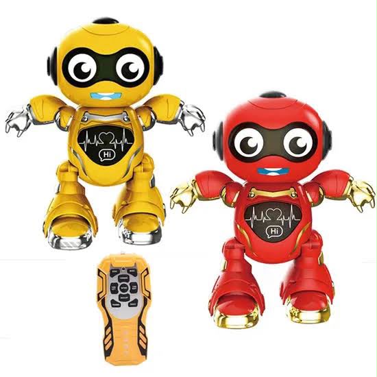 Interactive RC Robot