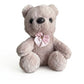 20CM Plush Teddy Bear