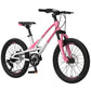 20-inch Montasen bicycle