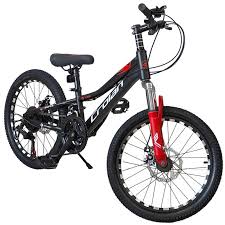 Crolan 20-Inch Bicycles