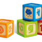 Hape Play Essentials Smart Start Blocks | Wooden Baby Learning Blocks