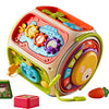 9 in 1 Activity Cube