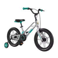 
              18 INCHES MONTASEN BICYCLE
            