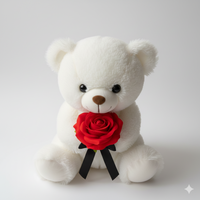 
              White Plush Mini Teady Bear
            