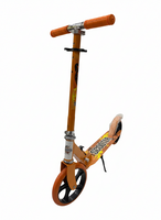 
              Two Wheeled Metal Scooter
            