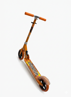 
              Two Wheeled Metal Scooter
            