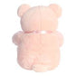 Pink Plush Teddy Bear