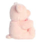 Pink Plush Teddy Bear