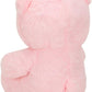Pink Plush Teddy Bear