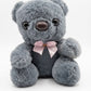 20CM Plush Teddy Bear