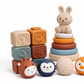 3 in 1 Baby Early Learning Play set