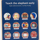 Brain Elephants multimensional training