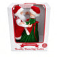 Dancing Santa & Mrs. Claus Musical Decoration