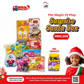 SURPRISE SANTA HAMPER