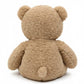50CM teddy bear