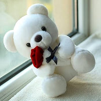 
              White Plush Teddy Bear
            
