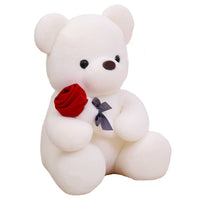 
              White Plush Teddy Bear
            